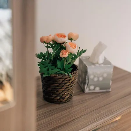 St James House Apartment *